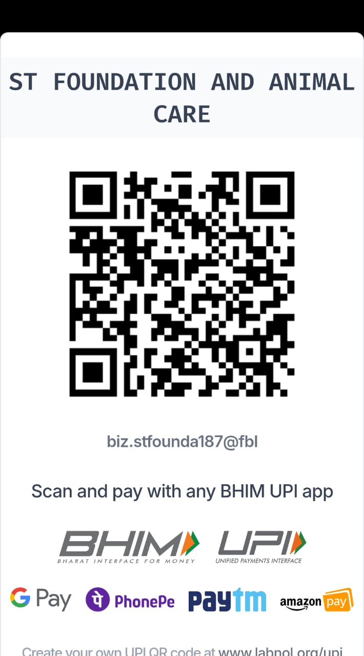 Payment QR code for ST Foundation donation